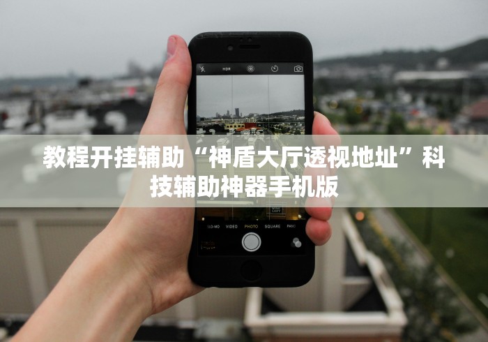 教程开挂辅助“神盾大厅透视地址”科技辅助神器手机版