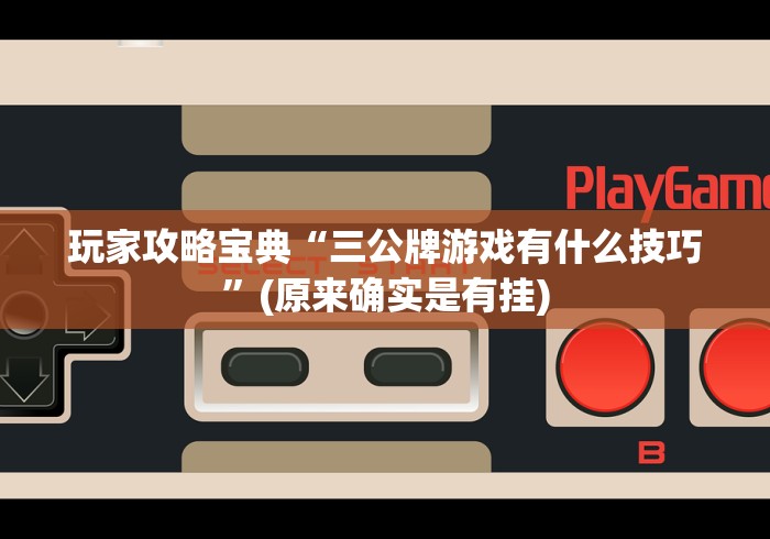 玩家攻略宝典“三公牌游戏有什么技巧”(原来确实是有挂)