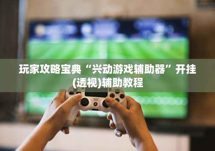 玩家攻略宝典“兴动游戏辅助器	”开挂(透视)辅助教程