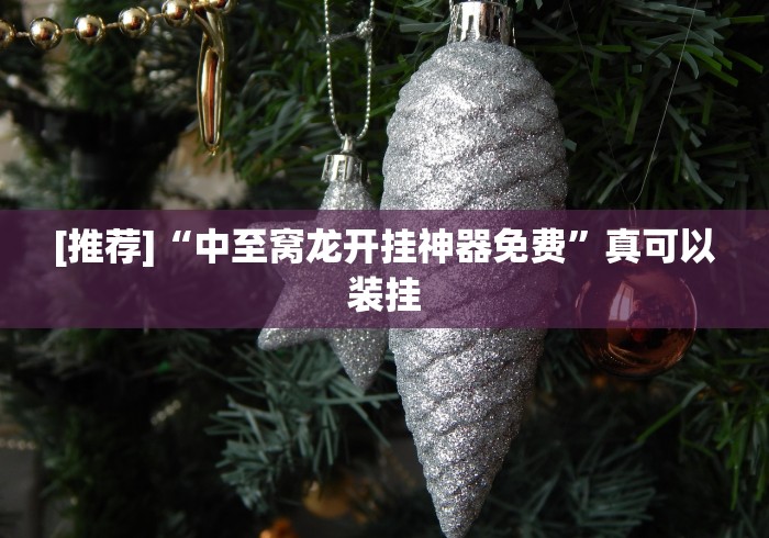 [推荐]“中至窝龙开挂神器免费	”真可以装挂