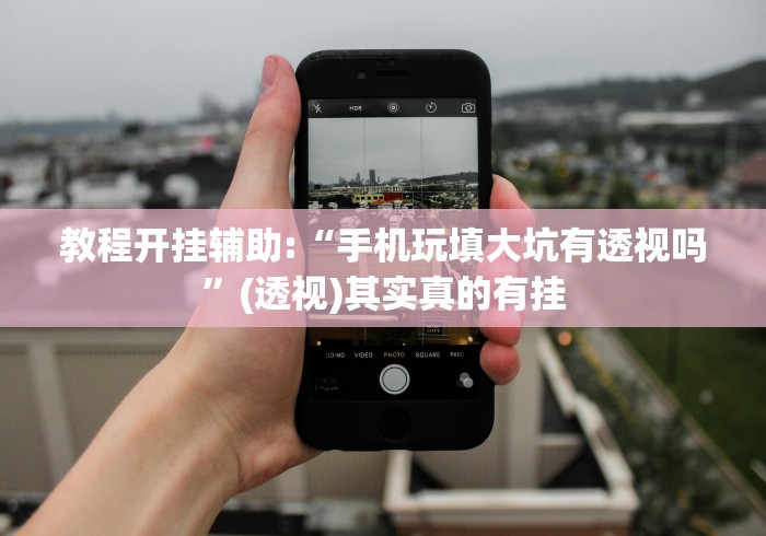 教程开挂辅助:“手机玩填大坑有透视吗”(透视)其实真的有挂