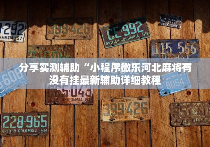 分享实测辅助“小程序微乐河北麻将有没有挂最新辅助详细教程