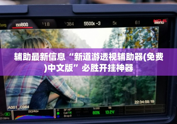 辅助最新信息“新道游透视辅助器(免费)中文版”必胜开挂神器