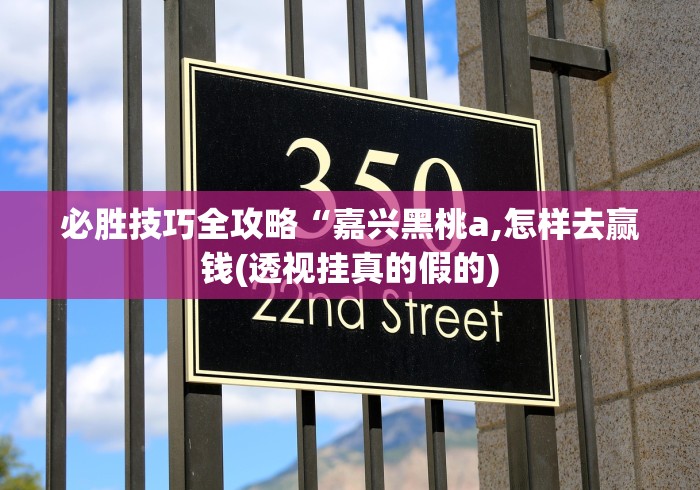 必胜技巧全攻略“嘉兴黑桃a,怎样去赢钱(透视挂真的假的) 必胜技巧全攻略“嘉兴黑桃a,怎样去赢钱(透视挂真的假的)