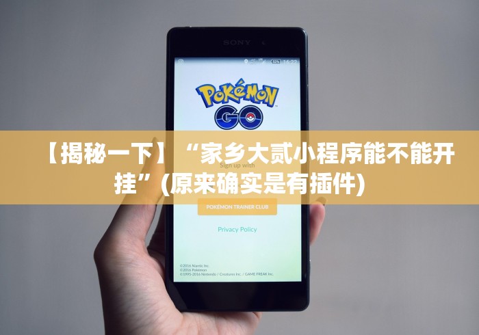 【揭秘一下】“家乡大贰小程序能不能开挂”(原来确实是有插件)