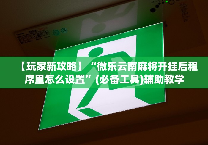 【玩家新攻略】“微乐云南麻将开挂后程序里怎么设置”(必备工具)辅助教学