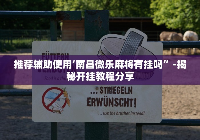 推荐辅助使用‘南昌微乐麻将有挂吗”-揭秘开挂教程分享