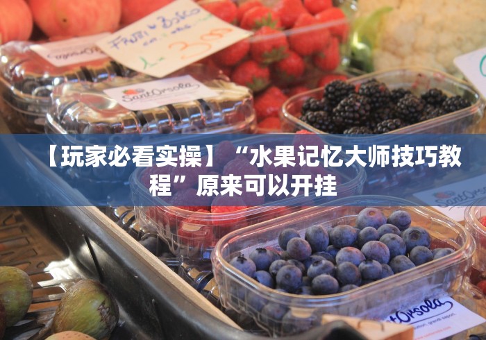 【玩家必看实操】“水果记忆大师技巧教程”原来可以开挂