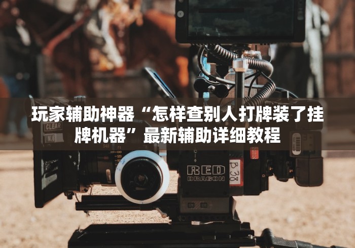 玩家辅助神器“怎样查别人打牌装了挂牌机器”最新辅助详细教程
