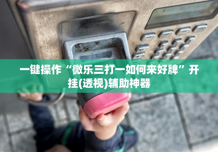一键操作“微乐三打一如何来好牌”开挂(透视)辅助神器