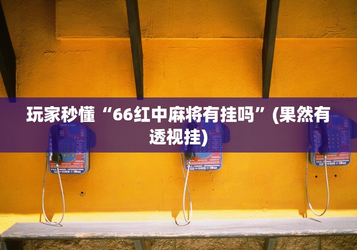 玩家秒懂“66红中麻将有挂吗”(果然有透视挂)