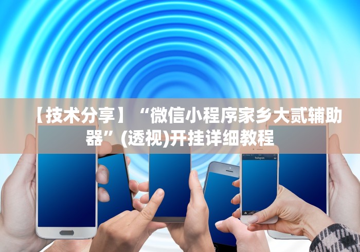 【技术分享】“微信小程序家乡大贰辅助器”(透视)开挂详细教程