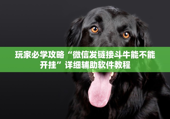 玩家必学攻略“微信发链接斗牛能不能开挂”详细辅助软件教程