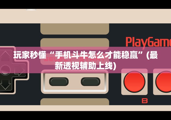 玩家秒懂“手机斗牛怎么才能稳赢”(最新透视辅助上线)