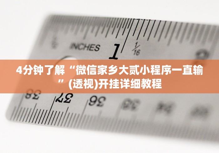 4分钟了解“微信家乡大贰小程序一直输”(透视)开挂详细教程