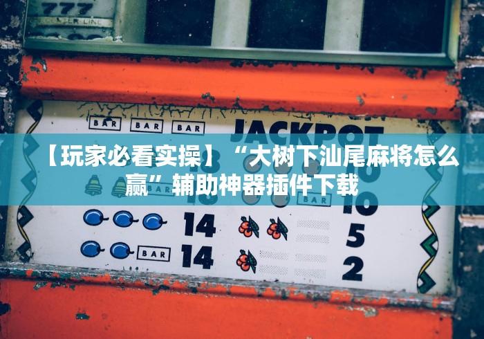【玩家必看实操】“大树下汕尾麻将怎么赢”辅助神器插件下载