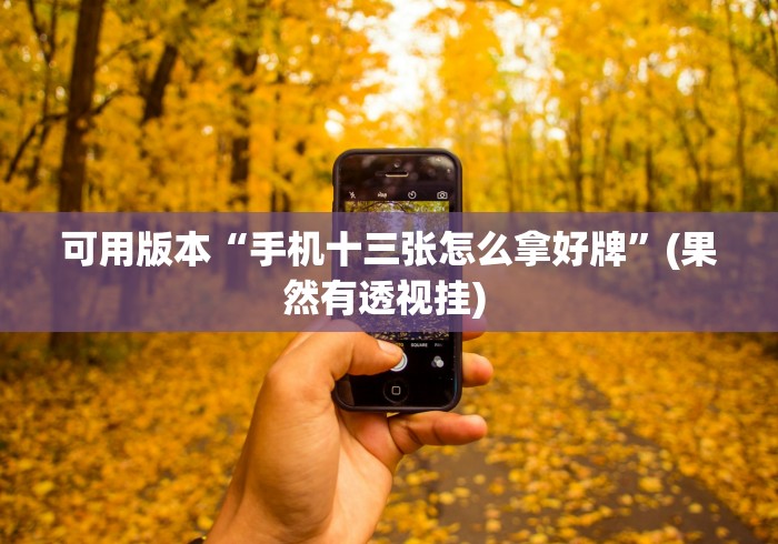 可用版本“手机十三张怎么拿好牌”(果然有透视挂) 