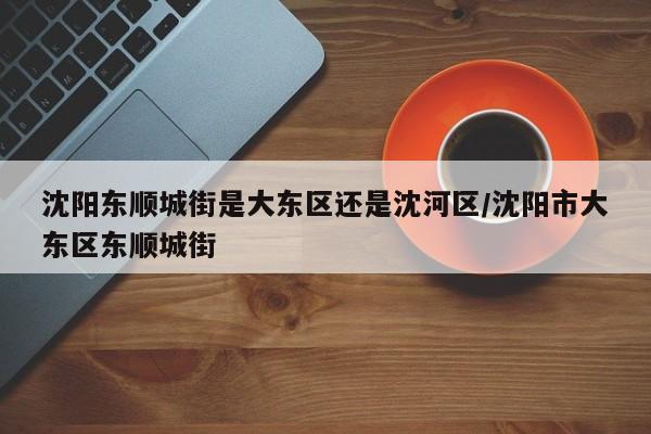 沈阳东顺城街是大东区还是沈河区/沈阳市大东区东顺城街