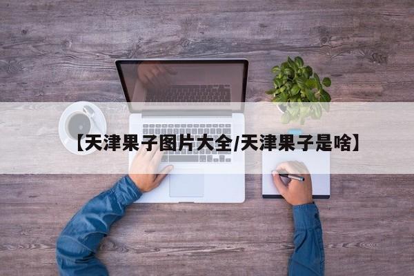 【天津果子图片大全/天津果子是啥】