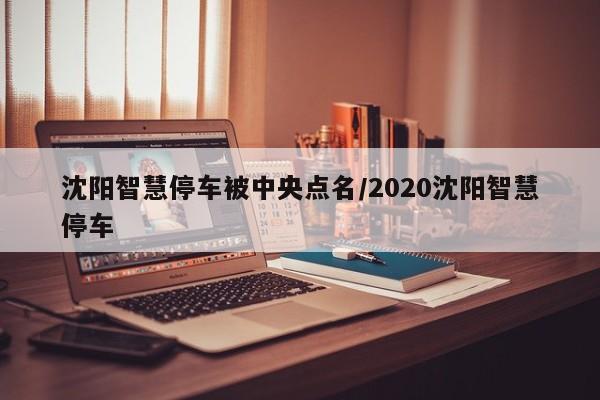 沈阳智慧停车被中央点名/2020沈阳智慧停车